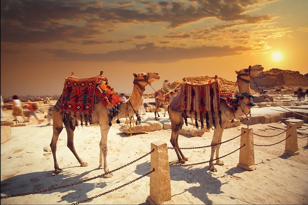 geography,asia geography,geography now,world geography,geography facts,geography videos,geography shorts,geography of east asia,china geography,#geography now,regional geography,geography of asia,russia geography,asia geography video,east asian geography,asian countries,#geography,israel geography,turkey geography,pakistan geography,countries geography,facts about geography,#middle east geography,malaysia geography,#asia,india geography