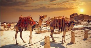 geography,asia geography,geography now,world geography,geography facts,geography videos,geography shorts,geography of east asia,china geography,#geography now,regional geography,geography of asia,russia geography,asia geography video,east asian geography,asian countries,#geography,israel geography,turkey geography,pakistan geography,countries geography,facts about geography,#middle east geography,malaysia geography,#asia,india geography