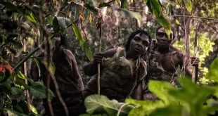 all about asia for kids,asia for kids,what is asia,what is in asia,what animals are from asia,asia,geography of asia,famous landmarks in asia,great wall of china,taj mahal,asia facts,facts about asia,learn bright,nas daily,nasmeanspeople,1minute,travel,nuseir yassin,nas studio,英語学習,people,nas academy,lesan.io,places,country,greenland,q's greenland,genetics,dna,dna test,genetic,ancestry,23andme,dna test results,vahaduo