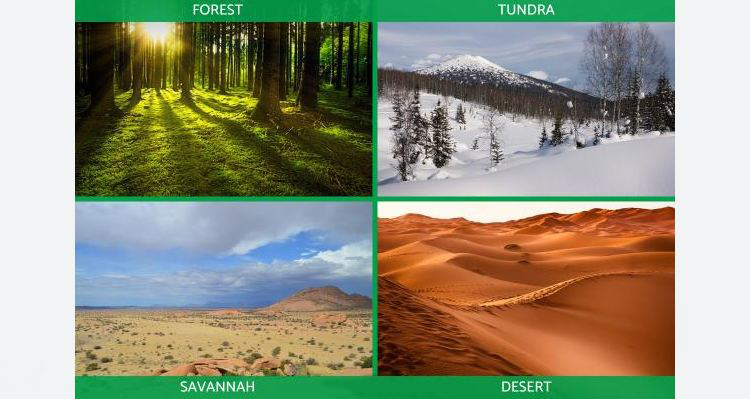 climate zones of the earth,best learning videos for kids,video for kids,kids video for kids,learning videos for kids,learning video for toddlers,kids learning videos,children learning video,education videos,education videos for kids,education videos for children,kids videos,dr binocs,dr binocs show,respiratory system,five senses,volcano,dr.binocs,5 senses,respiratory system for kids,earthquake,5 senses for kids,grade 7 geography lessons