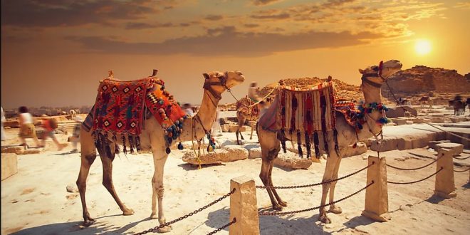 geography,asia geography,geography now,world geography,geography facts,geography videos,geography shorts,geography of east asia,china geography,#geography now,regional geography,geography of asia,russia geography,asia geography video,east asian geography,asian countries,#geography,israel geography,turkey geography,pakistan geography,countries geography,facts about geography,#middle east geography,malaysia geography,#asia,india geography